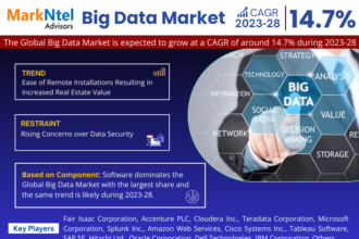 Global Big Data Market