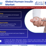 Global Human Insulin Market