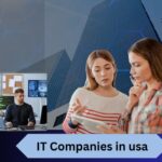 IT Companies in usa