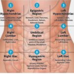 Quadrants of Abdomen