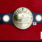 Wrestling Belts