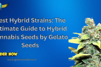 best hybrid strains that combine the best of both worlds.