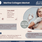 Global Marine Collagen Market