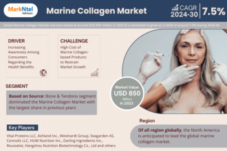 Global Marine Collagen Market