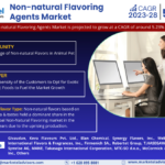 Global Non-natural Flavoring Agents Market