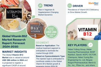 Global Vitamin B12 Market