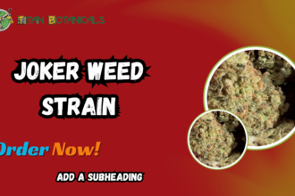 Joker Weed Strain