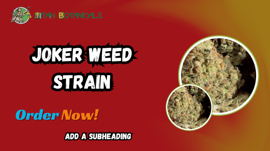 Joker Weed Strain