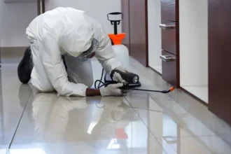 Pest Control in Lahore and Guide to Termite Control