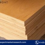 Phenolic Boards Market