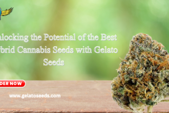 best hybrid cannabis seeds