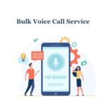 voice call