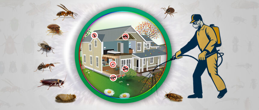 pest control lahore