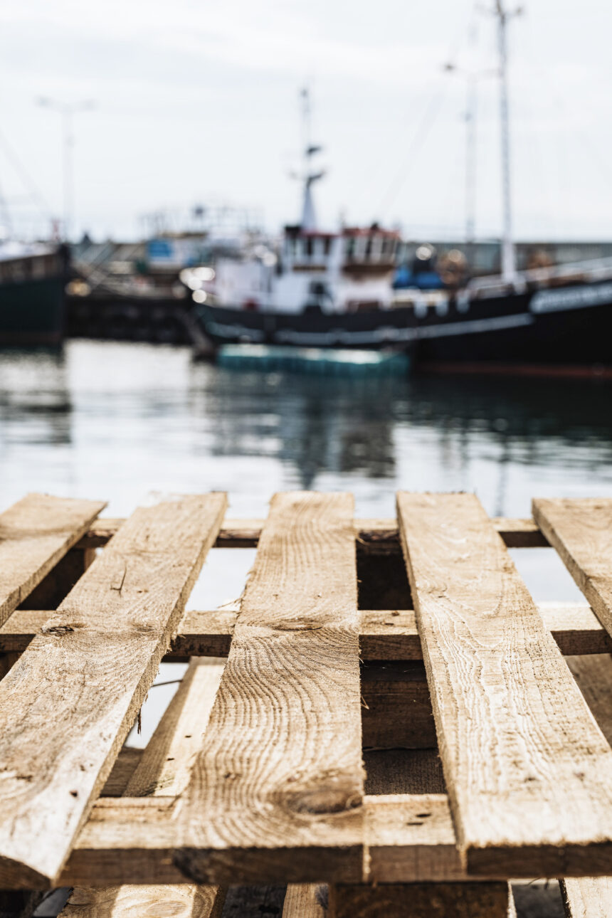 wooden dock