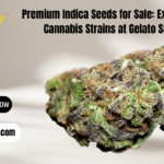 buy indica seeds