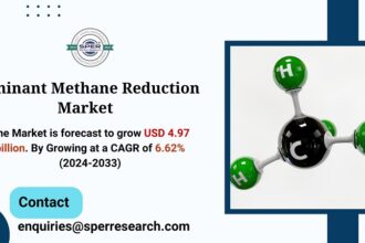 Ruminant Methane Reduction Market