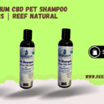 CBD Pet Shampoo