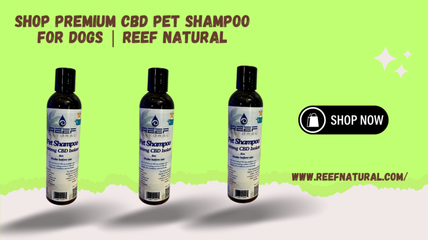 CBD Pet Shampoo