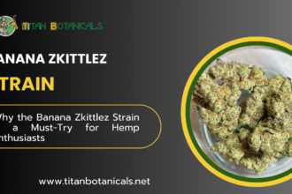 Why the Banana Zkittlez Strain is a Must-Try for Hemp Enthusiasts