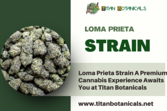 Loma Prieta Strain