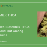 Buttermilk THCa Flower